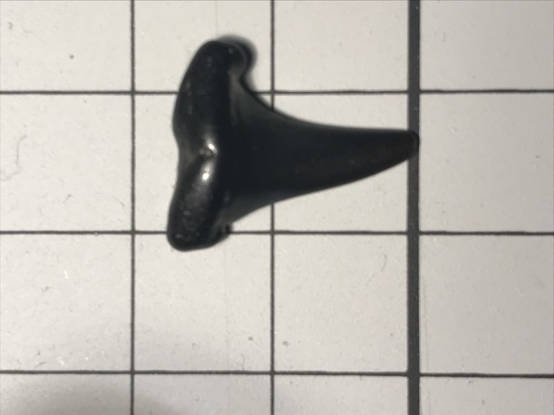 E7B9181F-855E-45E5-B718-23532E71A099.jpeg
