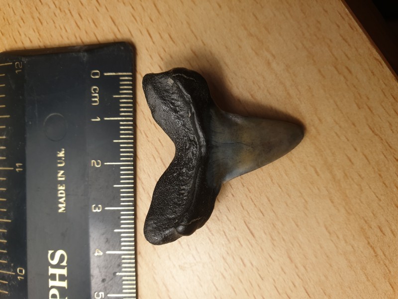 20210303_223251.jpg (2.69 MiB) 1026 keer bekeken 20210303_223251.jpg