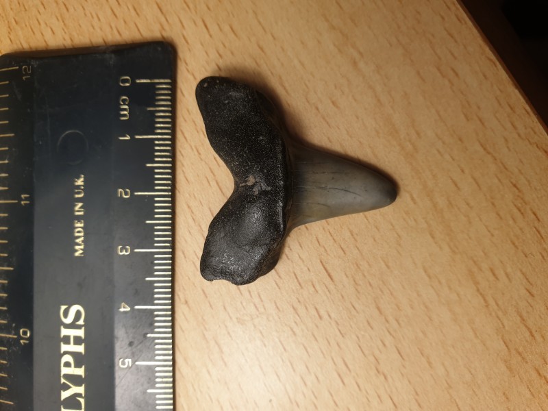 20210303_223230.jpg (2.49 MiB) 928 keer bekeken 20210303_223230.jpg