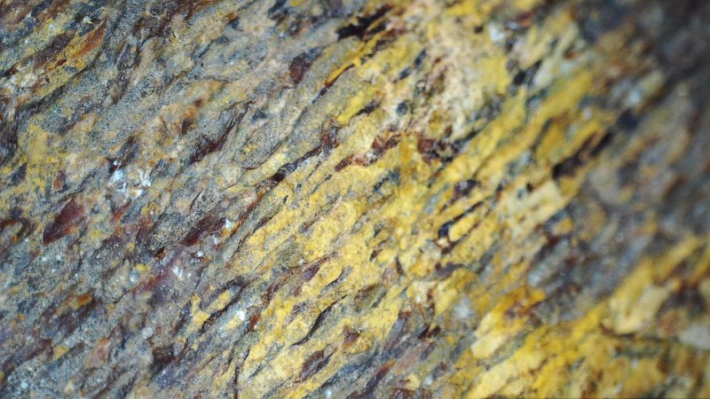 elasmosaur humerus surface detail.jpg