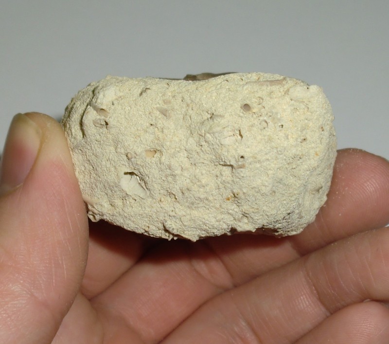 CIMG5906 (2).JPG
