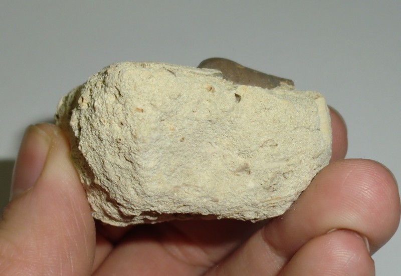 CIMG5907 (2).JPG