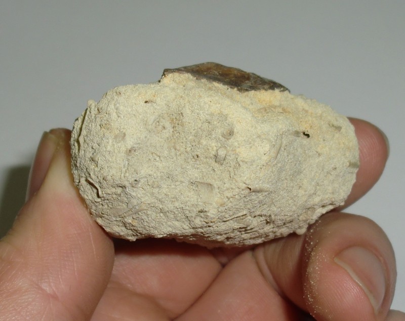 CIMG5908 (2).JPG