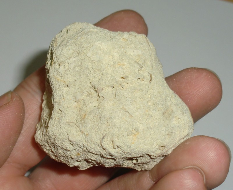 CIMG5909 (2).JPG
