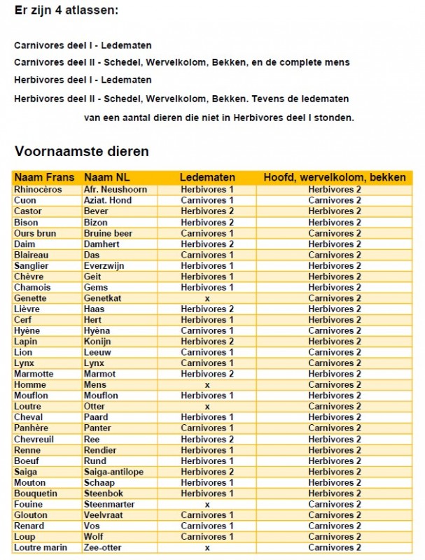 Indeling.jpg