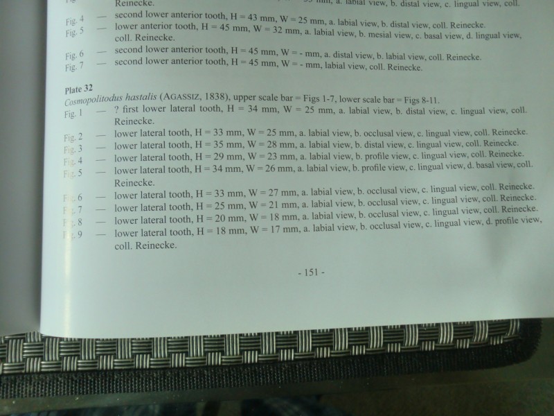 CIMG7677.JPG