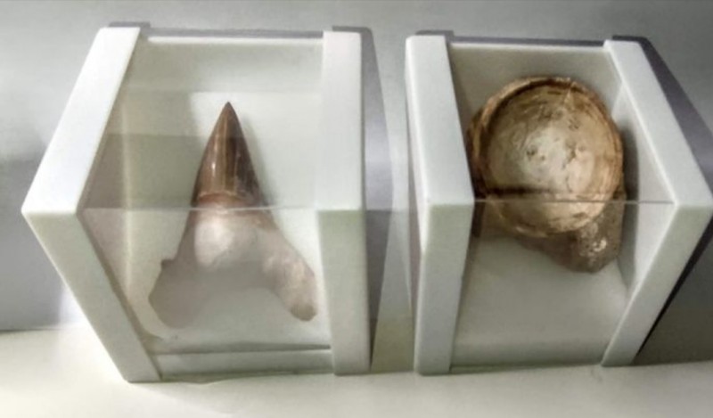 20210511_154459.jpg (93.84 KiB) 533 keer bekeken 20210511_154459.jpg