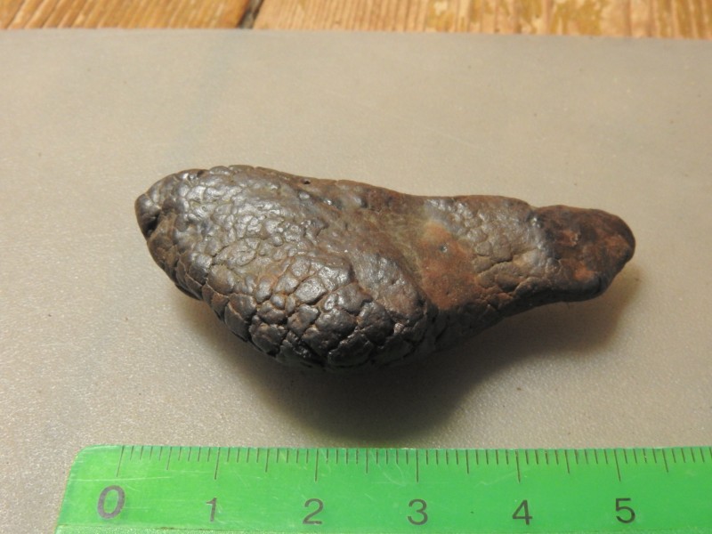 coproliet 1 C
