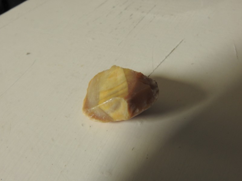 DSCN9125.JPG
