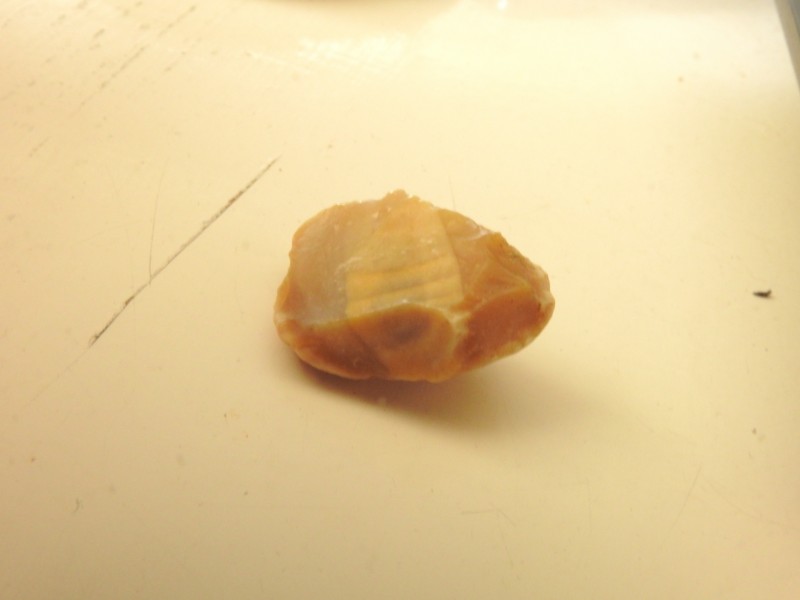 DSCN9132.JPG