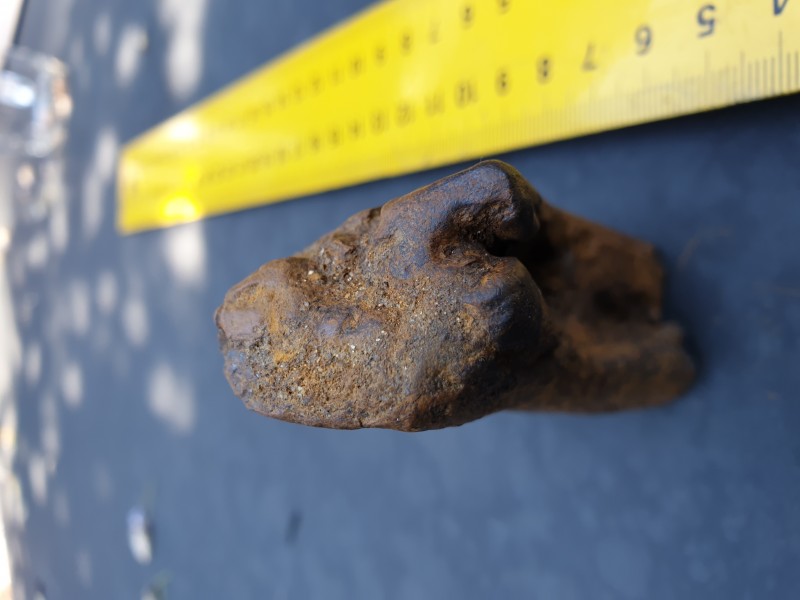 20210606_165318.jpg (2.2 MiB) 1034 keer bekeken 20210606_165318.jpg