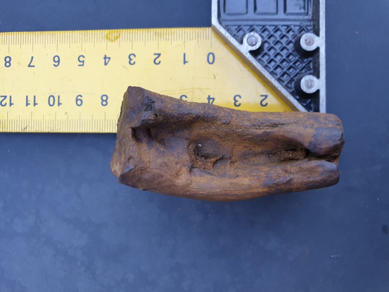 20210606_165235.jpg (2.57 MiB) 1031 keer bekeken 20210606_165235.jpg