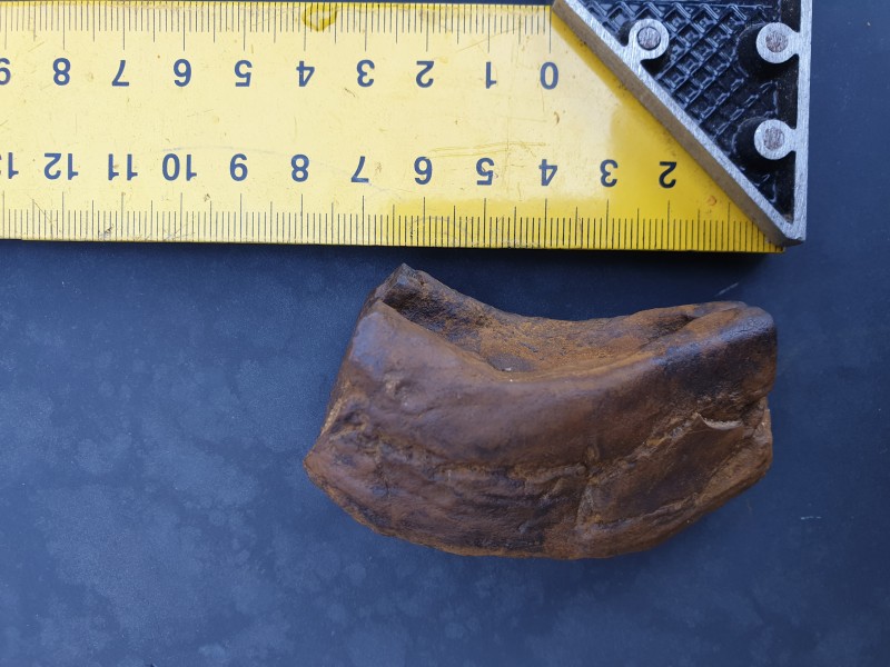 20210606_165227.jpg (3.07 MiB) 1035 keer bekeken 20210606_165227.jpg