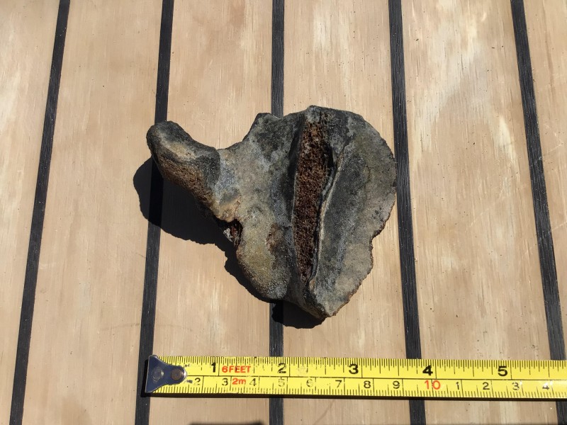 IMG_3465.jpg (748.31 KiB) 1002 keer bekeken IMG_3465.jpg