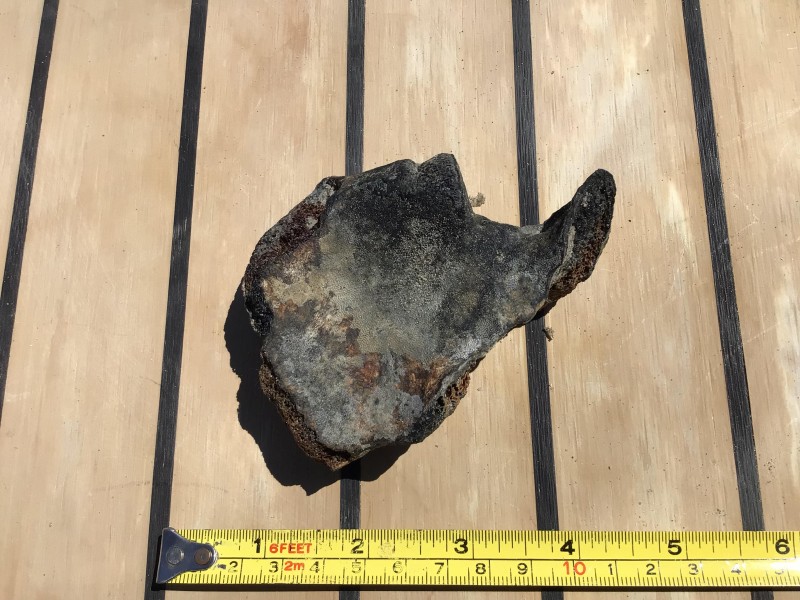 IMG_3466.jpg (840.42 KiB) 1002 keer bekeken IMG_3466.jpg