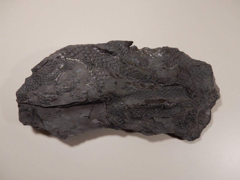 EHN-1003.JPG