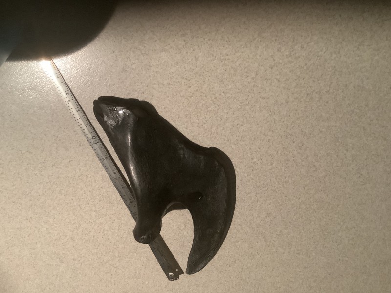 12 bij 6 cm