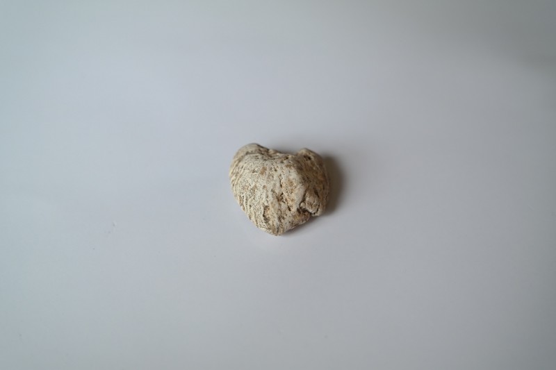 Zijkant