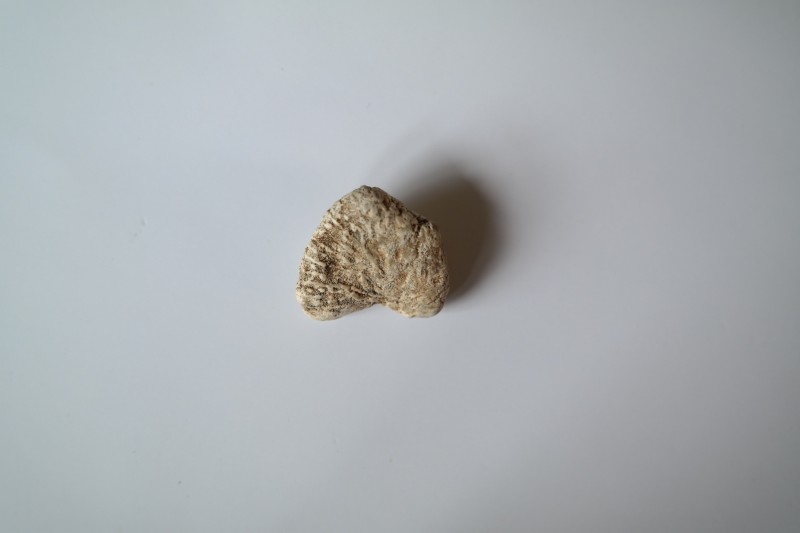 Achterkant