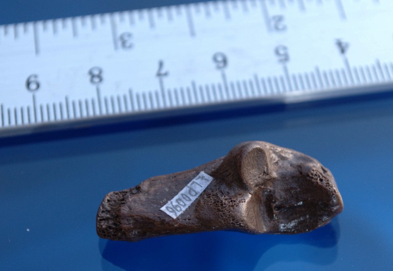 NIF_0035.jpg