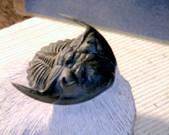 Afbeelding
