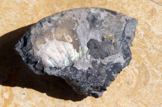 Afbeelding