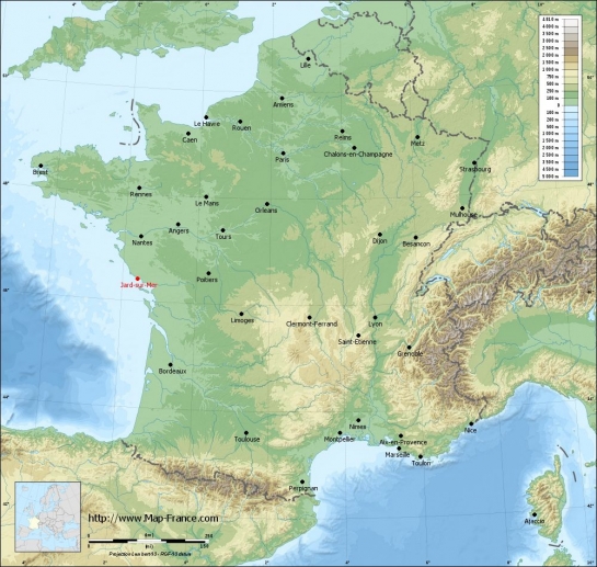 Afbeelding
