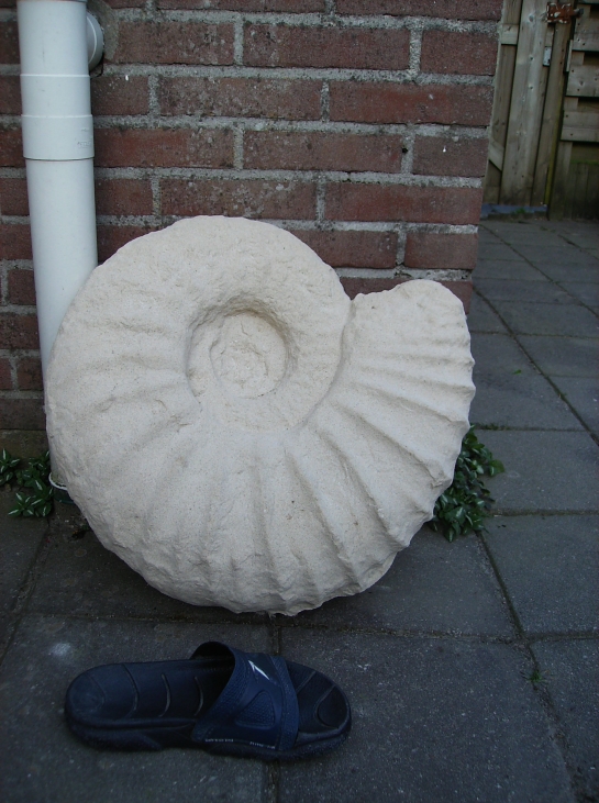 Afbeelding