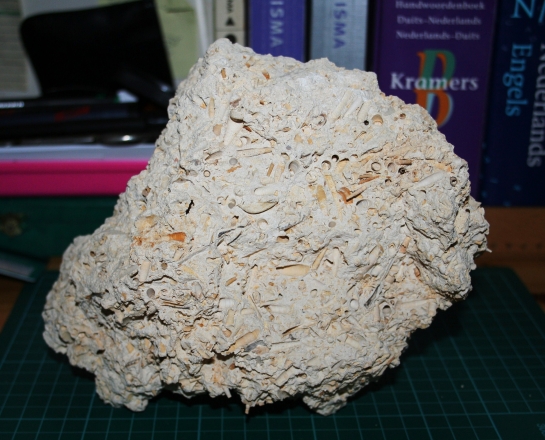 Afbeelding