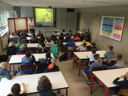 Afbeelding
