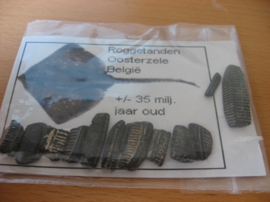 Afbeelding