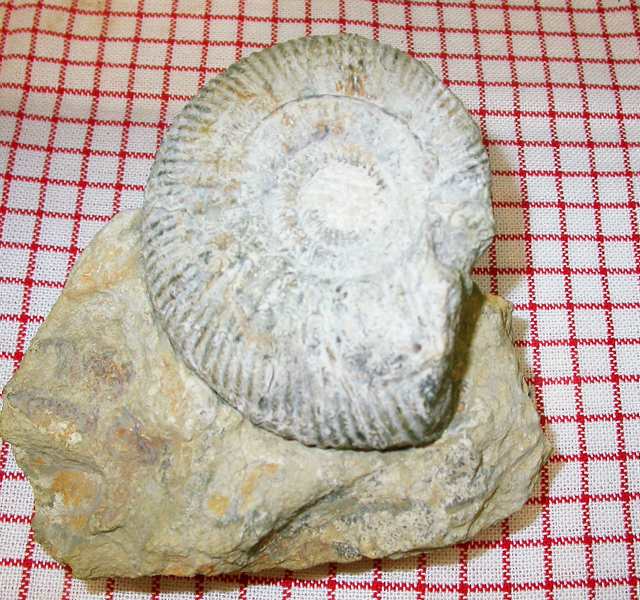 Afbeelding