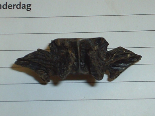 Afbeelding