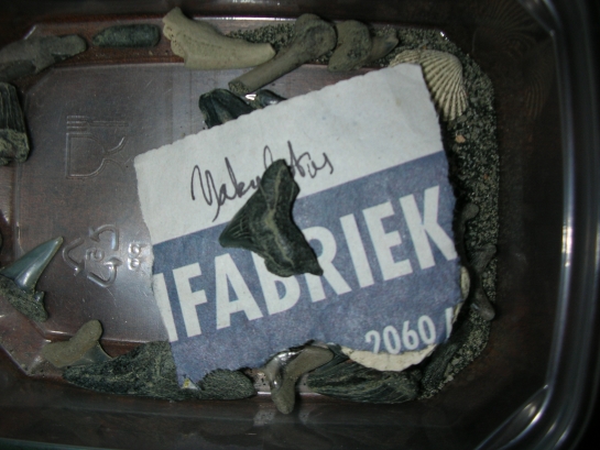 Afbeelding