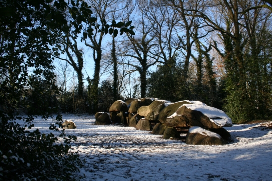 Afbeelding