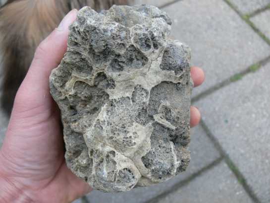 Afbeelding