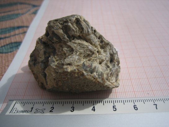 Afbeelding
