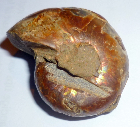 Afbeelding