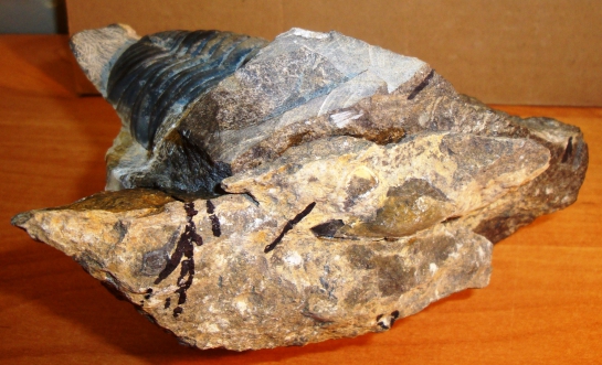 Afbeelding