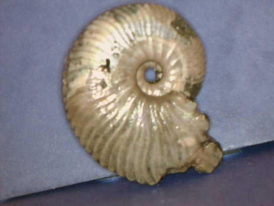 Afbeelding