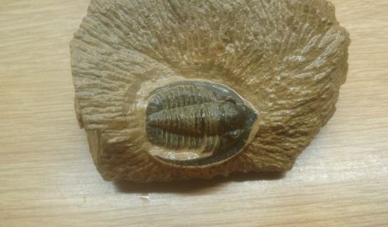 Afbeelding