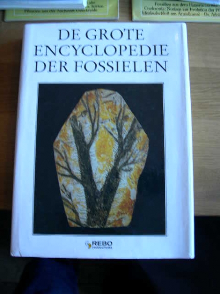 Afbeelding