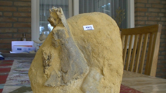 Afbeelding