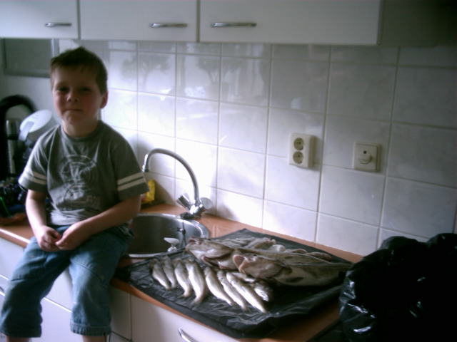 Afbeelding
